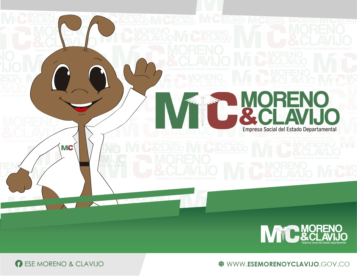 Convocatoria Revisor Fiscal 2026